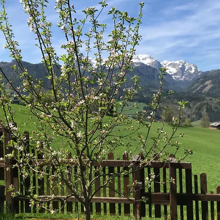 Hochkoenigblick Holiday home Pfarrwerfen